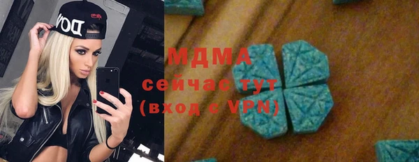 дживик Инта