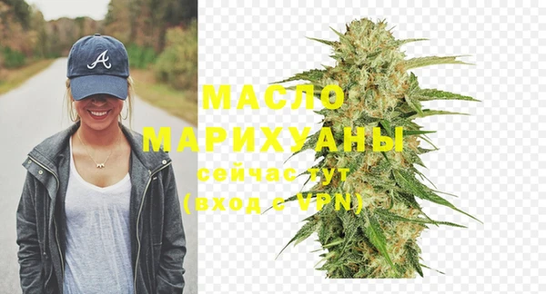 дживик Инта