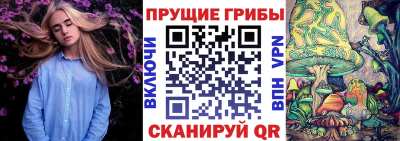 Галлюциногенные грибы Cubensis  Ачхой-Мартан 